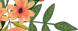 Illustrated Leaves