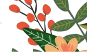 Illustrated Flowers