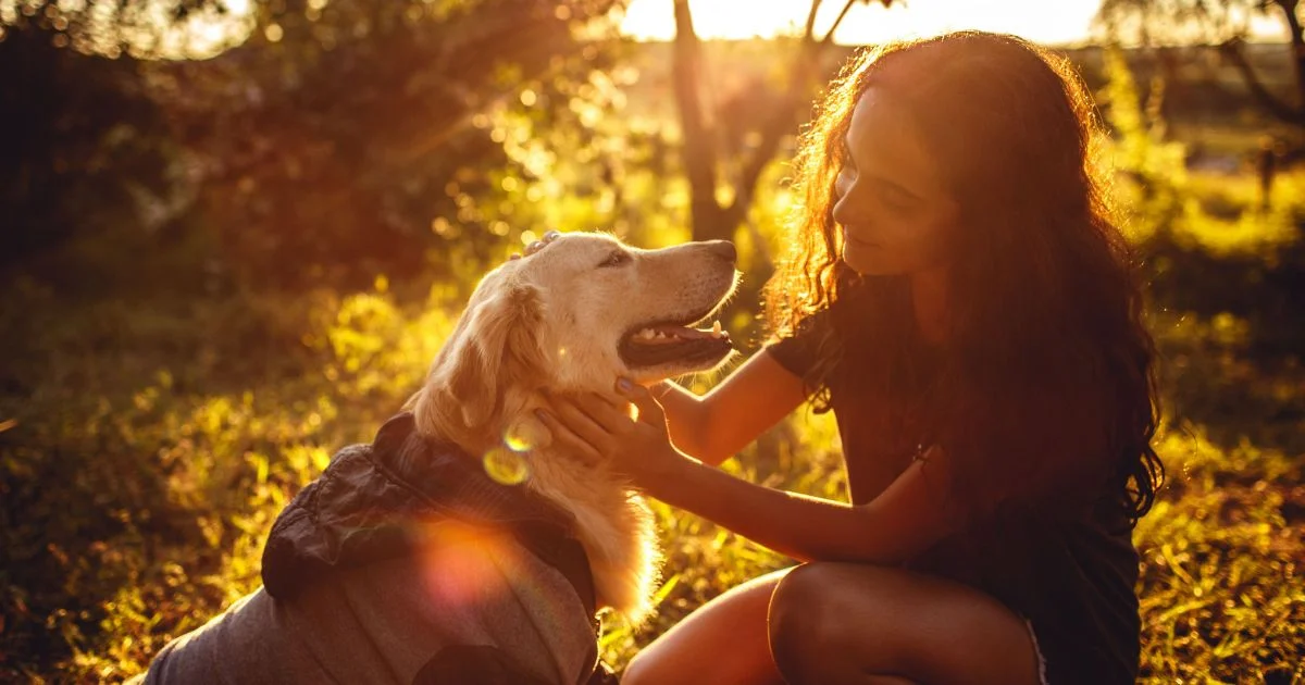 Pet euthanasia - Beanstalk Mums Girl gently pets a golden retriever in a sunlit field at sunset, both enjoying the moment in warm evening light.